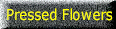 wpe27.gif (4407 bytes)